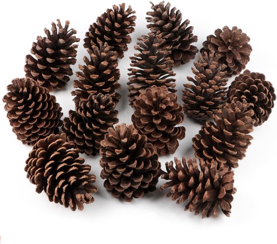 12 stuks grote dennenappels, 8-12 cm dennenappels, dennenappels voor ambachten, kerstboom, tafel, vaasvullers, winterdecoraties, kerst decoratie, kerstversiering (zonder geur)