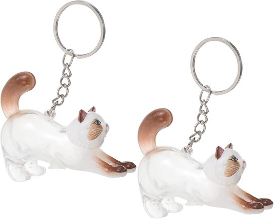 2 Stuks Transparante Kattenhaar Bewaardoos Sleutelhanger van Draagbare Pet Memorial Capsules Geschikt voor Kattenliefhebbers Schattige Praktische Souvenirhouder