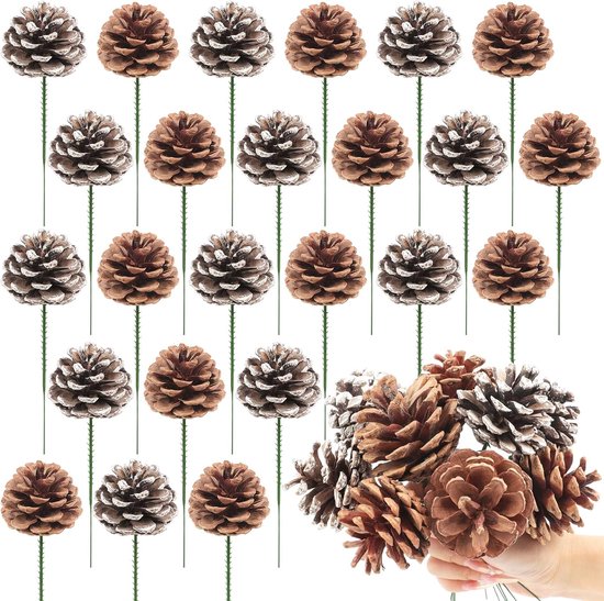 24 stuks natuurlijke dennenappels sneeuw dennenappel voor kerstboom slinger krans ornamenten dennenappels decoreren winter vakantie huis (primaire kleuren, wit)