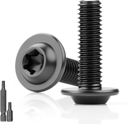 25 stuks platte kopschroeven zwart M4 x 20 mm met flens roestvrij staal 304 met sluitring A2 V2A volledige schroefdraad met 2 Torx sleutels T20 voor houten steigers