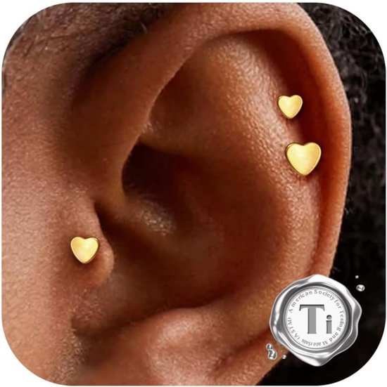 3 stuks 16G Helix/Tragus Piercing - G23 Titanium Labret - Intern Geschroefd voor Kraakbeen/Lip - CZ Hart Design - Hypoallergeen 6/8/10MM - 3 losse Onderdelen