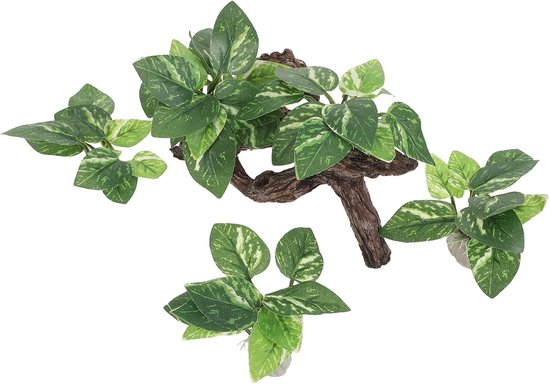 4 Stuks Delige Aquarium Driftwood Decor met Schuilgrot Bladeren Natuurlijke Vis Schuilplaats voor Garnalen Betta Duurzaam Geschikt voor Diverse Visaquaria