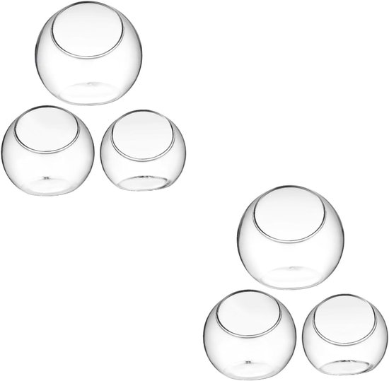 6 Stuks Sappige Vazen Terrarium Middelpunt Middelpunten Terrarium Vazen Sappig Bolterrarium Weergave Duidelijke Ornamenten Hydrocultuur Planter Terrarium Tank Terranium Glas