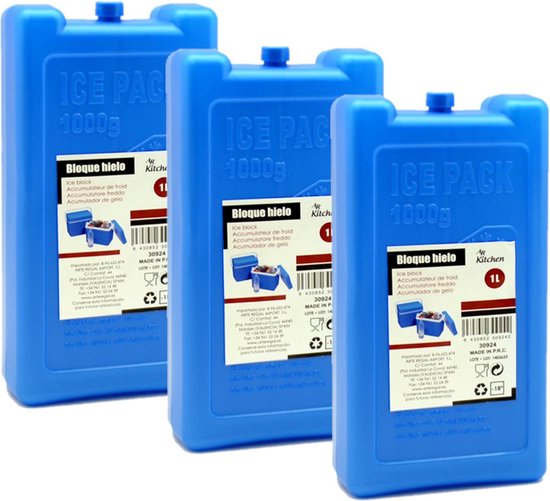 Arte R Koelelementen groot blok - 5x - 1000 ml - 11 x 5 x 22 cm - blauw - Koelblokken/koelelementen voor koeltas/koelbox van Arte