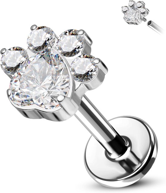 Crareesi Mania Titanium Helix Stud Paw Conch Tragus Piercing Sieraden 16G 8mm Forward Labret Lip Stud Hart CZ Platte Rug Kraakbeen Oorbellen Piercing Sieraden voor Vrouwen Mannen