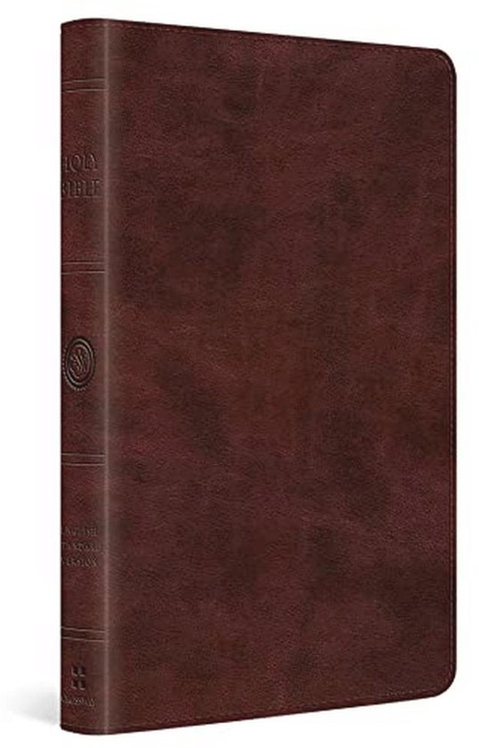 Grote Dikke Bijbel in Draagbaar Formaat van Merkloos