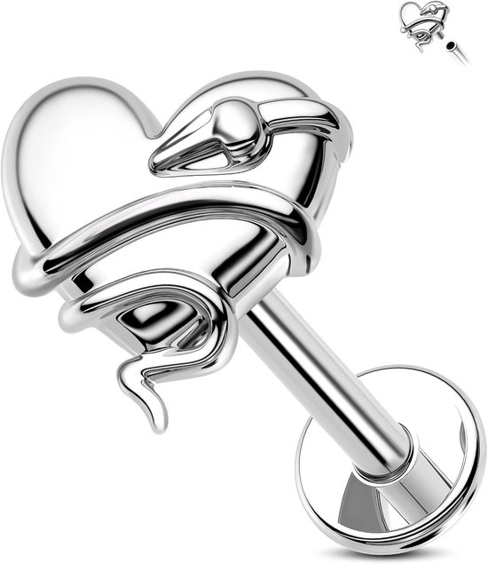 Hart Kraakbeen Oorbel Snake Platte Terug Oorbel Intern Schroefdraad Lip Stud 16G Labret Studs Tragus Oorbel Piercing Sieraden