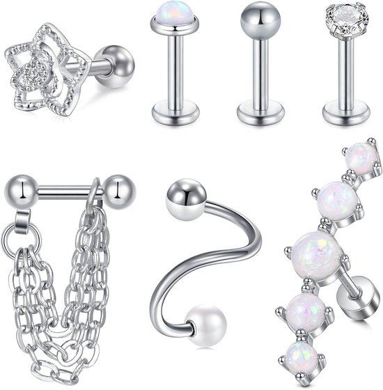 Kraakbeen Oorbellen Tragus Bar Rvs 16G Helix Studs Top Oor Piercing Sieraden CZ
