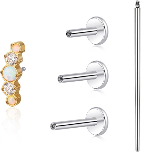 Limerencia 18G Tragus Piercing, Medische Titanium Lippiercing Met 6 mm 8 mm 10 mm Staafjes, Hypoallergene Helix Piercing Oor, Labret Stud Voor Navel Tong Wenkbrauw Lip Septum Neus (Kleur Q)