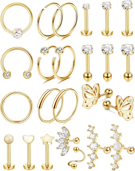 Oorbellen voor Vrouwen Hypoallergeen Helix Piercing Sieraden Kraakbeen Chirurgisch Staal Oorbellen Set Tragus Conch Neus Piercing Lip Neus Ring 16G